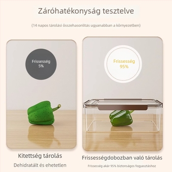 Műanyag hűtőszekrény-tároló doboz fedéllel – hordozható, légmentesen záródó, megőrzi a zöldségek és gyümölcsök frissességét