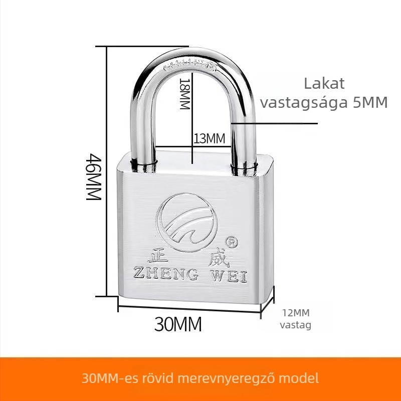 Ötvözött acél lakat ajtókhoz és kapukhoz – közvetlen nyitás, modell: steel padlock, márka Three Cats, modern egyszerű stílus