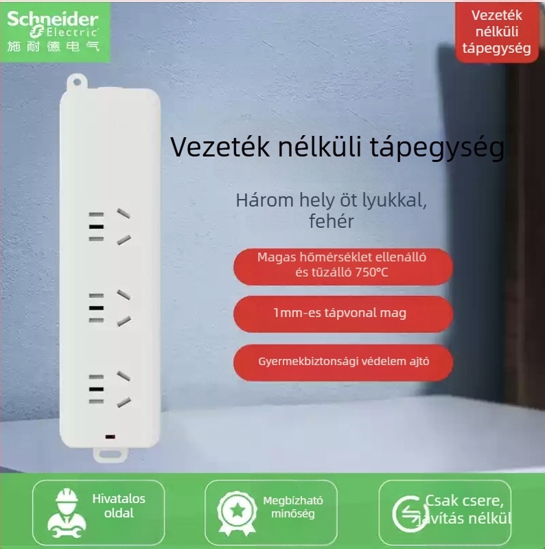 Schneider Electric USB-s elosztó, 10A, 220V, 2000W, típus 86, új nemzeti szabvány