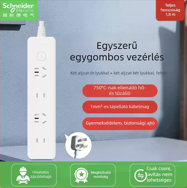 Schneider Electric USB-s elosztó, 10A, 220V, 2000W, típus 86, új nemzeti szabvány