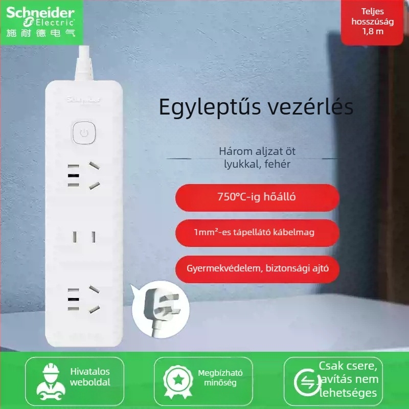 Schneider Electric USB-s elosztó, 10A, 220V, 2000W, típus 86, új nemzeti szabvány