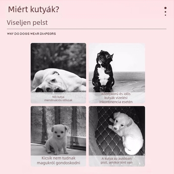 Macska és kutya pelenka, lélegző alapfilm, polimer-cellulóz maggal, rugalmas gumiszalag – 10 db