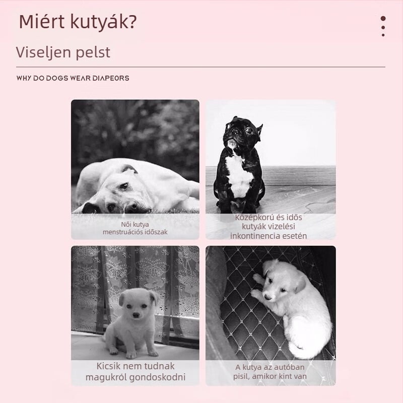 Macska és kutya pelenka, lélegző alapfilm, polimer-cellulóz maggal, rugalmas gumiszalag – 10 db