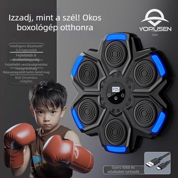 Okos zenei bokszedző otthonra, falra szerelhető – Gyerekeknek szánt bokszgép (Márka: Water source; Jellemzők: intelligens, zene; Szerelés: fal)