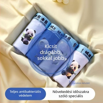 Kisfiúknak pamut alsónemű, 95% pamut, biztonsági osztály A, modell 3005+3006, 2025 nyár