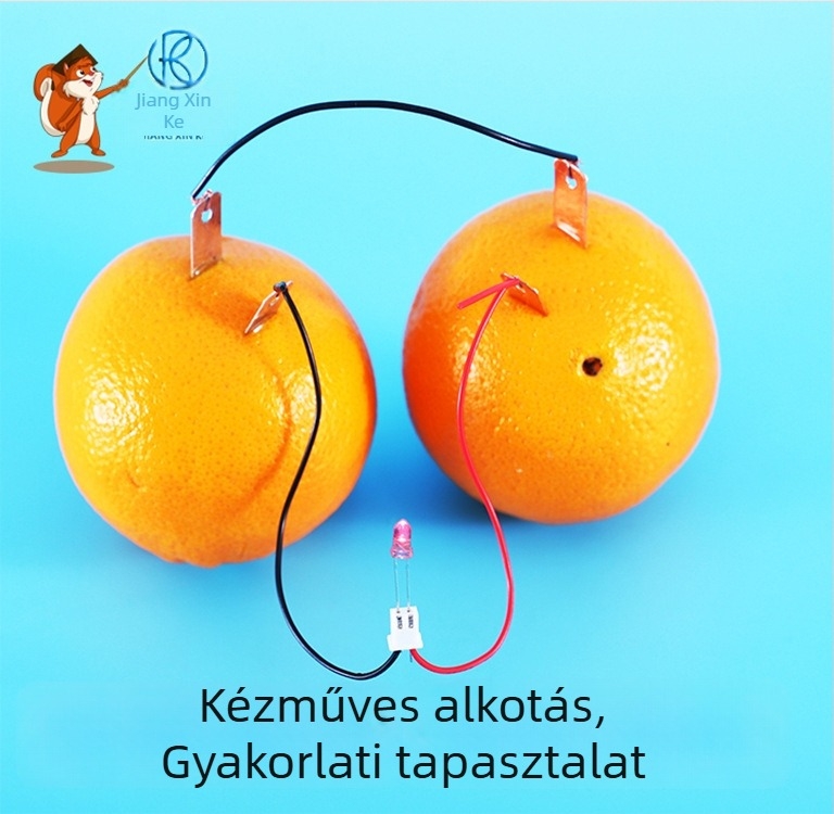 Tudományos oktató készlet: gyümölcs-akkumulátorral működő óra — fém, elektromos, többfunkciós, 4–6 éveseknek