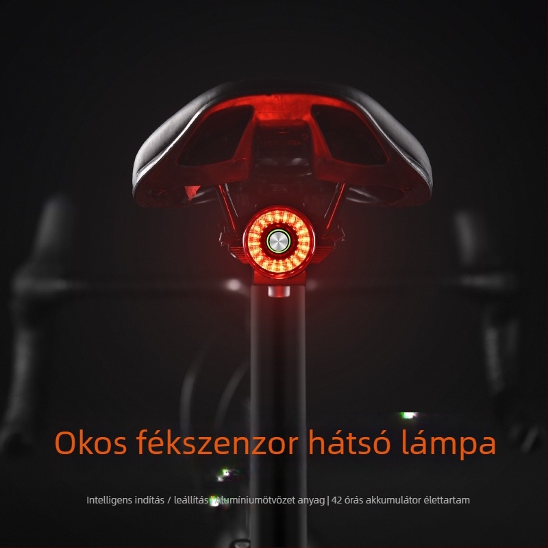 ACRUNU kerékpár hátsó fény intelligens érzékelővel, USB tölthető, IP65 vízálló, 5 mód