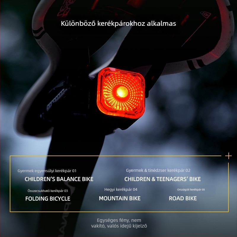 ACRUNU kerékpár hátsó lámpa intelligens szenzorral, vízálló, 30 g (Hosszú akkumulátor‑élettartam; Vízálló dizájn; Súly 30 g)