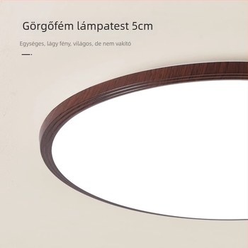 Mennyezeti lámpa, modern-minimalista stílus, LED, 220V, lefedettség 15–30 m²