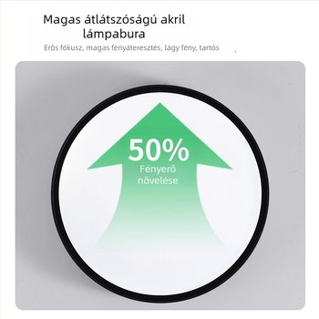 Mennyezeti lámpa, modern-minimalista stílus, LED, 220V, lefedettség 15–30 m²