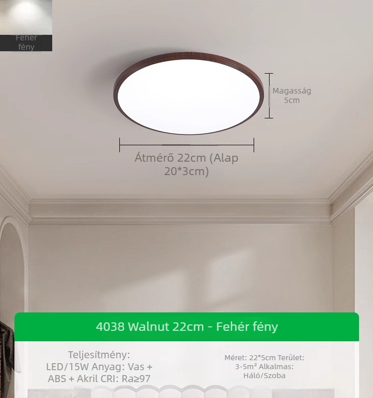 Mennyezeti lámpa, modern-minimalista stílus, LED, 220V, lefedettség 15–30 m²