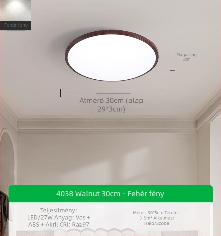 Mennyezeti lámpa, modern-minimalista stílus, LED, 220V, lefedettség 15–30 m²