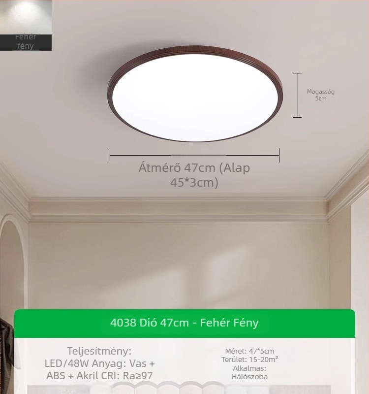 Mennyezeti lámpa, modern-minimalista stílus, LED, 220V, lefedettség 15–30 m²