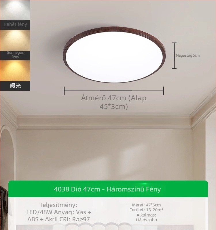 Mennyezeti lámpa, modern-minimalista stílus, LED, 220V, lefedettség 15–30 m²