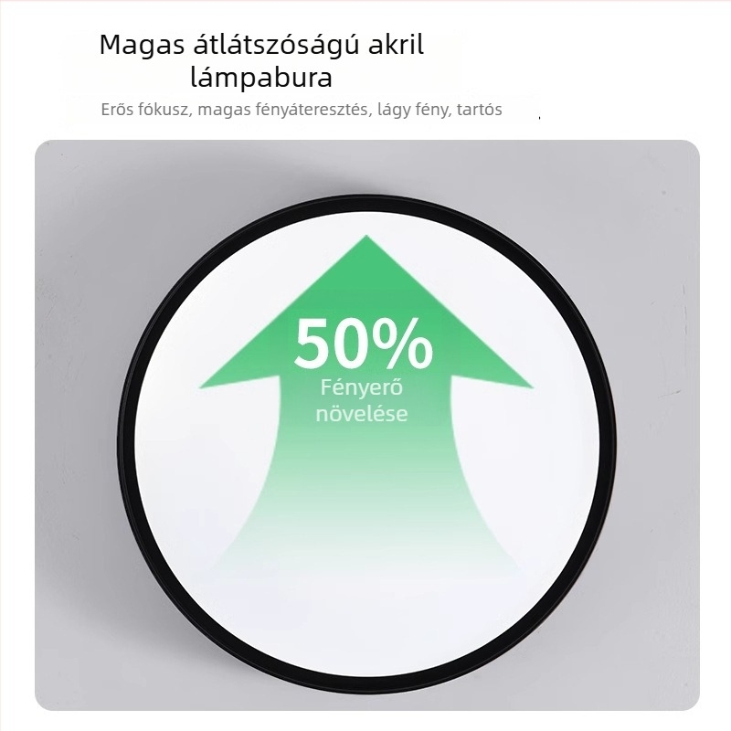 Mennyezeti lámpa, modern-minimalista stílus, LED, 220V, lefedettség 15–30 m²
