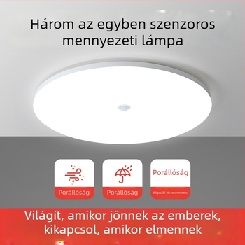 Mennyezeti lámpa (LED, mozgásérzékelő, 220V, 10-15 m² lefedettség)