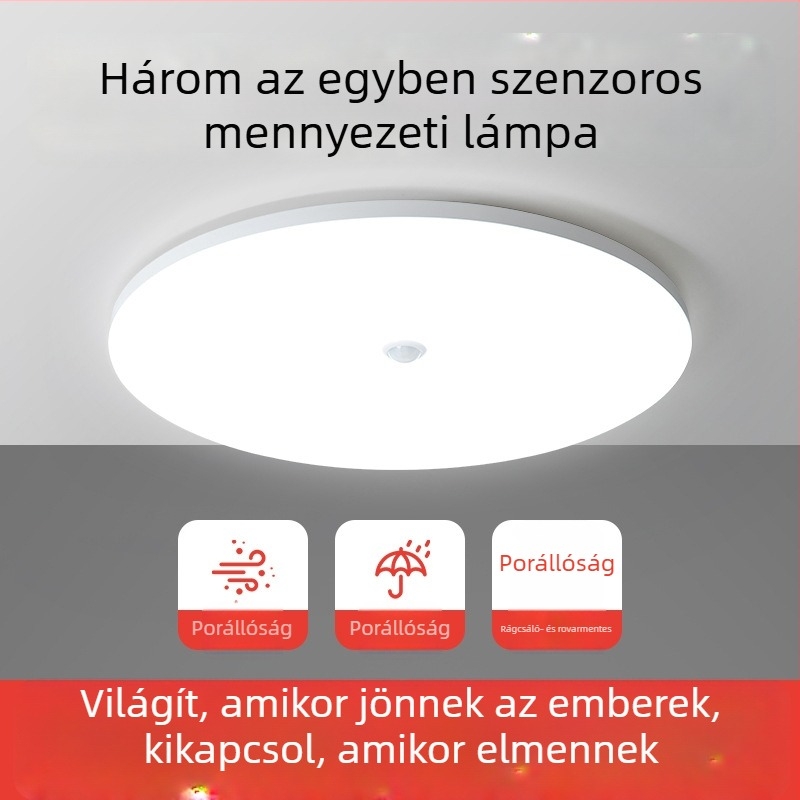 Mennyezeti lámpa (LED, mozgásérzékelő, 220V, 10-15 m² lefedettség)