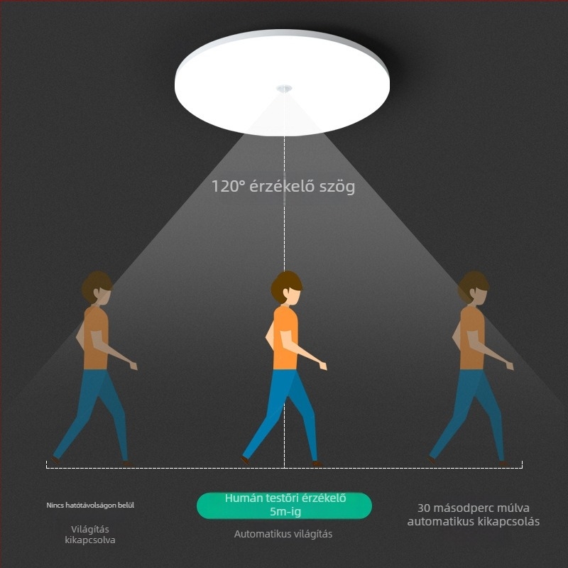 Mennyezeti lámpa (LED, mozgásérzékelő, 220V, 10-15 m² lefedettség)