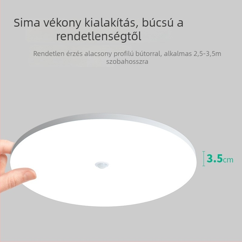 Mennyezeti lámpa (LED, mozgásérzékelő, 220V, 10-15 m² lefedettség)