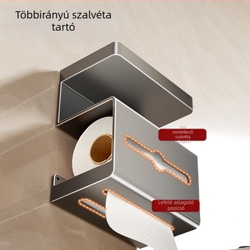 Danle falra szerelt vécépapír tartó - szénacél, négyszögletes forma, spray-plasztikus felület, modell SQh473-YC109301