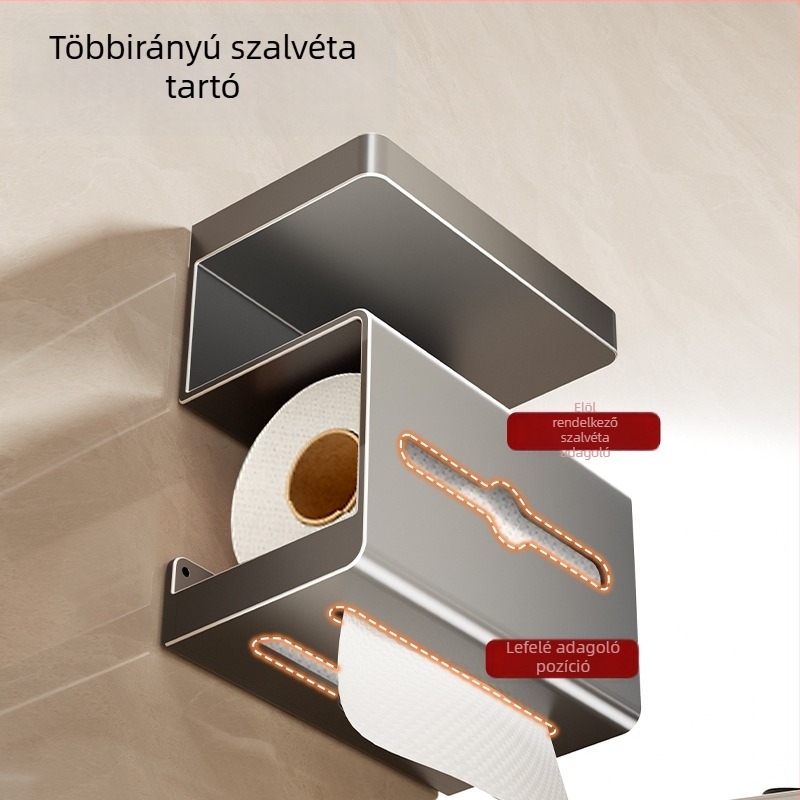 Danle falra szerelt vécépapír tartó - szénacél, négyszögletes forma, spray-plasztikus felület, modell SQh473-YC109301