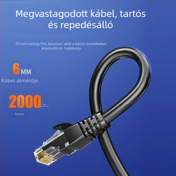 CAT6A Ethernet-kábel, Twisted Pair, Crystal Head csatlakozók, PVC szigetelés, OEM gyártás, licencelt privát címke