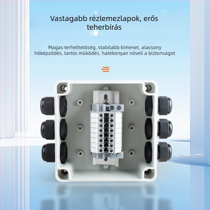 Intete kültéri vízálló műanyag csatlakozó doboz terminálokkal, 1 bemenet / 2 kimenet, tömített