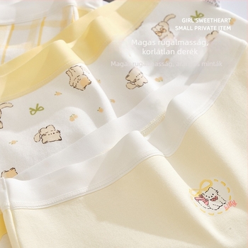 Lányoknak készült pamut-keverék alsónemű, osztály A, 47,5% pamut, 8 év feletti gyerekeknek (140 cm felett), téli 2024 kollekció