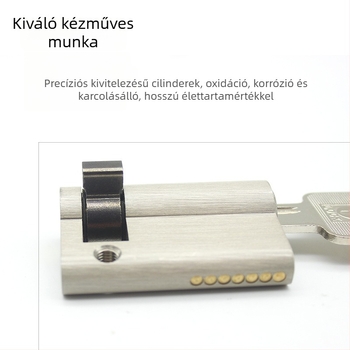 Ajtózár cilinder – sárgaréz, modell 69686, modern egyszerű stílus, súly 100 g