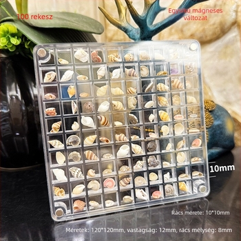 Akril mágneses rekeszes doboz kagyló motívumú fényképkerettel, egy- és dupla oldalú, mini ékszertároló, modern letisztult stílus