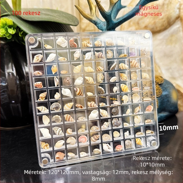 Akril mágneses rekeszes doboz kagyló motívumú fényképkerettel, egy- és dupla oldalú, mini ékszertároló, modern letisztult stílus
