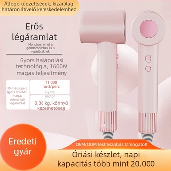 Hajszárító Brushless DC motorral, 1000W, 220V, 4 sebesség, meleg/hideg levegő