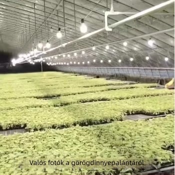 LED növények növekedési lámpája, teljes spektrummal, 32 LED, 2015 lm, 220V bemenet, Mullinsen chip, élettartam 30000 óra