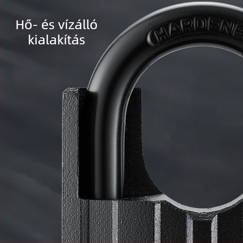 Lakat – OPEL Vas, Modern Egyszerű Stílus, Modell BBL-BLACK-DX, Ajtókhoz, Szekrényekhez, Bőröndökhöz