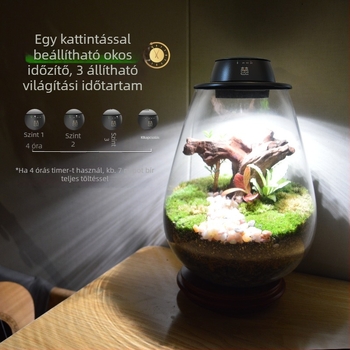 Újratölthető növénynevelő lámpa mikro tájkép mohás üveggel, teljes spektrumú LED, 4 LED, 140 lm, IP65, 220 V, élettartam 3–5 év