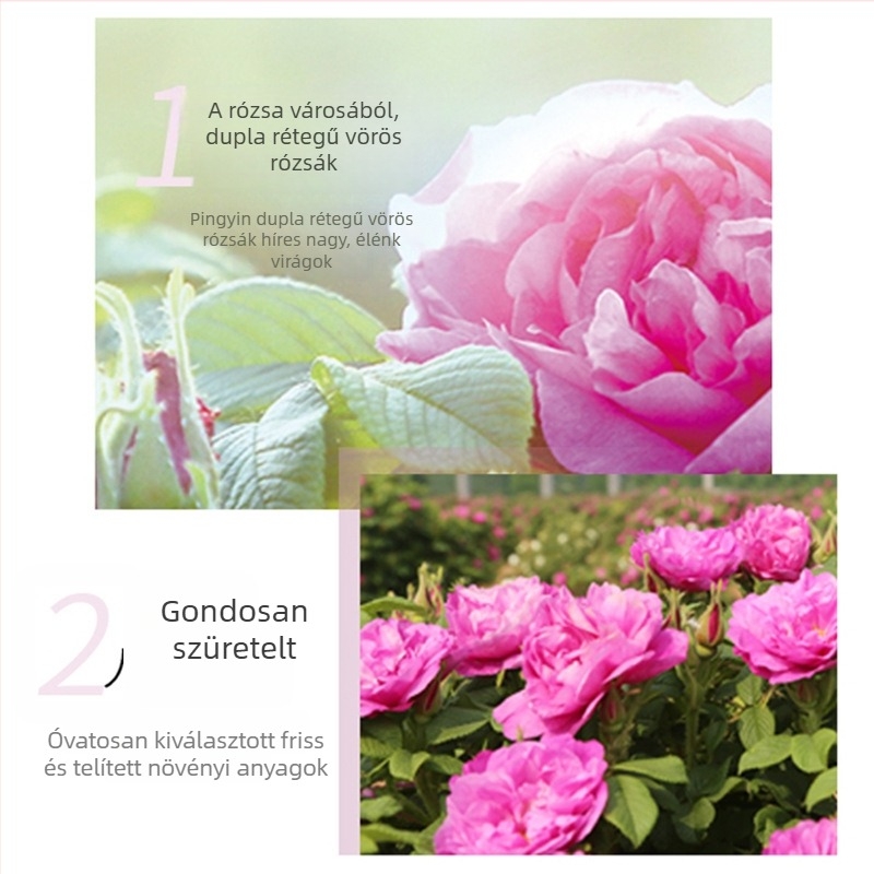 Rózsa hidratáló krém-gél maszk normál, zsíros és száraz bőrtípusokra (3 év lejárati idő, nem importált)