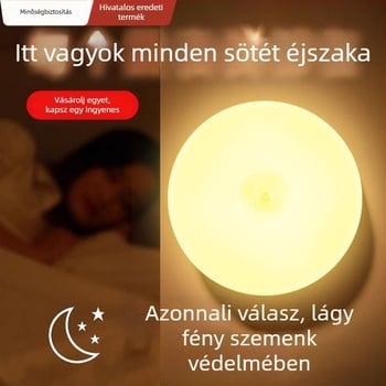 Mennyezeti LED lámpa mozgásérzékelővel, 36V vagy kevesebb, 30 m² feletti lefedettség, Ali Smart