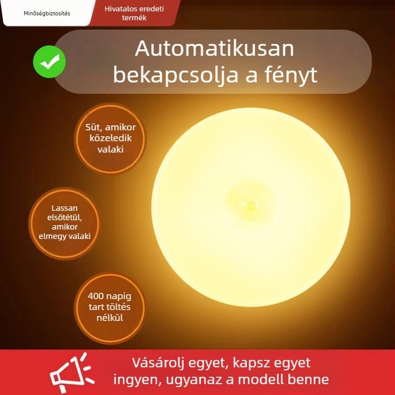 Mennyezeti LED lámpa mozgásérzékelővel, 36V vagy kevesebb, 30 m² feletti lefedettség, Ali Smart