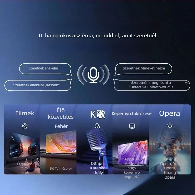 Hálózati TV set-top box Wi-Fi-vel, 128 MB RAM, 480p kimeneti felbontás
