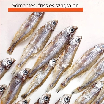 Teknős etetése – sómentes, száraz férgek és garnéla, akváriumi teknősök számára