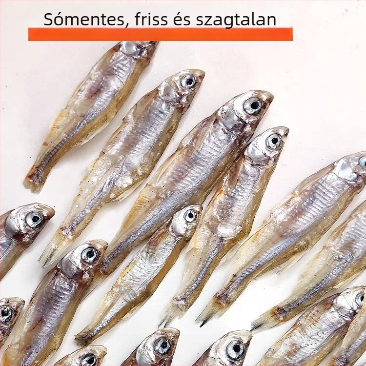 Teknős etetése – sómentes, száraz férgek és garnéla, akváriumi teknősök számára