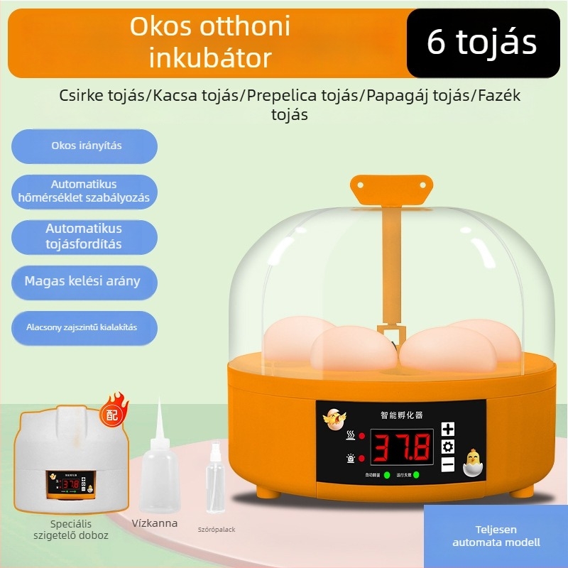 Háztartási tojás inkubátor automata tojásforgatással, 6 tojás kapacitás, kikeléshez csibék és fürjtojások