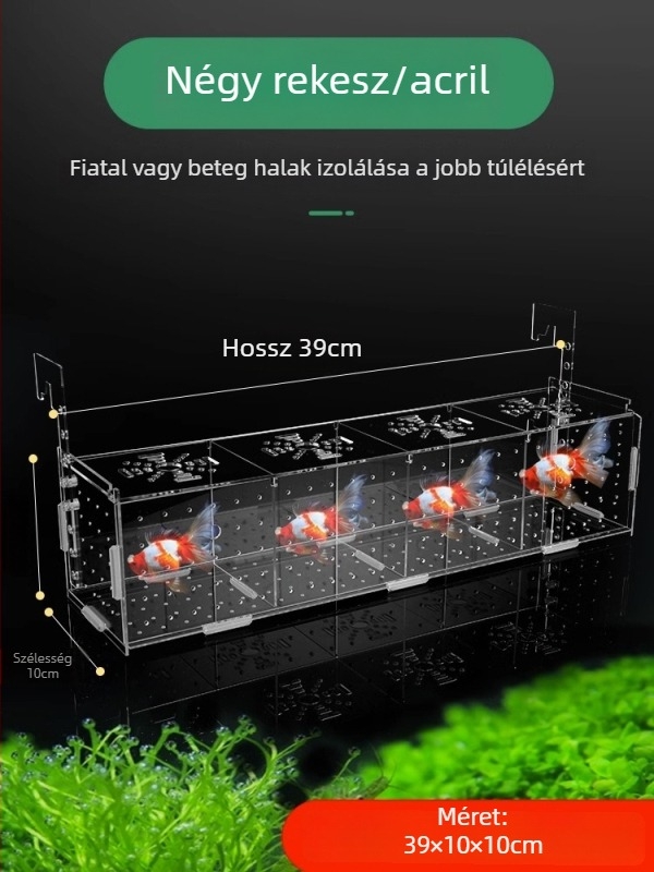 Akril akváriumi izolációs doboz – guppy kikeléshez, teknősbéka kölykei, Betta és tropusi halak; Anyag: akril; Eredet: Hebei; Kategória: akváriumi felszerelés