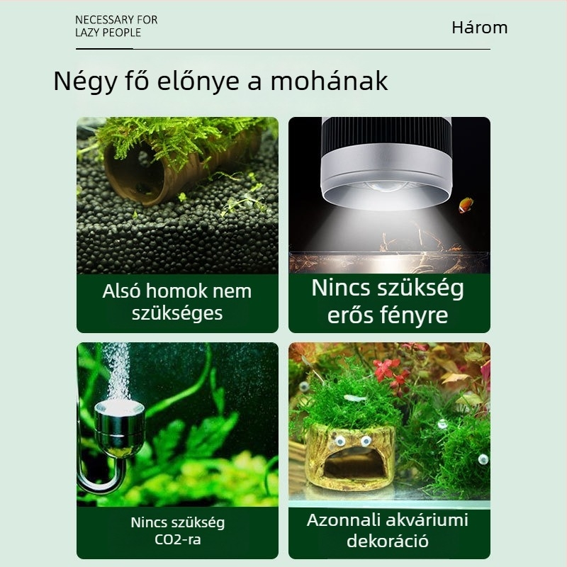 Kerámia akvaris dekoráció – menedék és tájépítés; Márka Crazy aquatic plants; Anyag: kerámia; Funkció: menedék és tájépítés; Fő cél: tájépítés, menedék