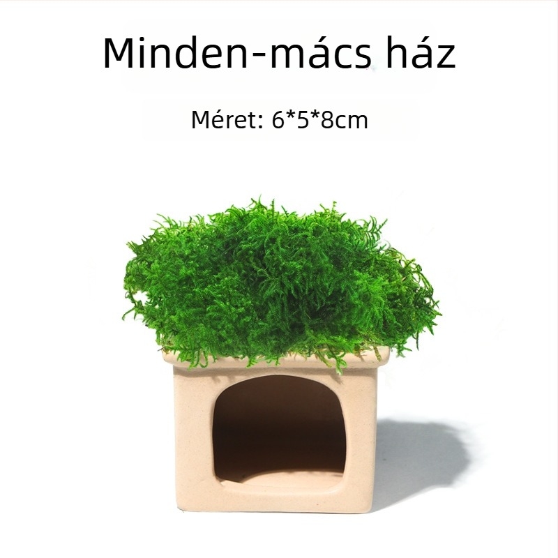 Kerámia akvaris dekoráció – menedék és tájépítés; Márka Crazy aquatic plants; Anyag: kerámia; Funkció: menedék és tájépítés; Fő cél: tájépítés, menedék