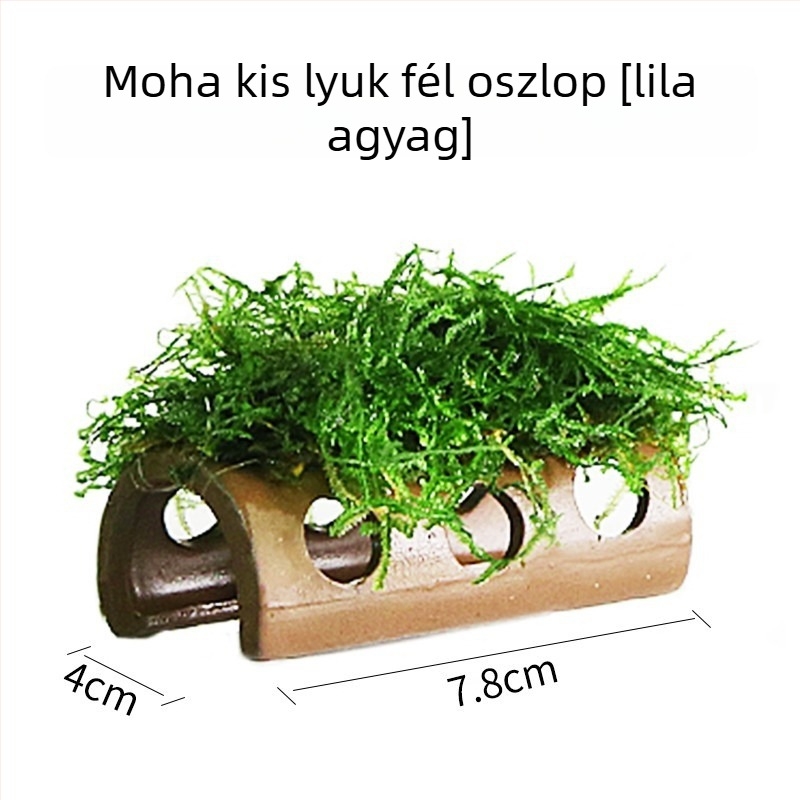 Kerámia akvaris dekoráció – menedék és tájépítés; Márka Crazy aquatic plants; Anyag: kerámia; Funkció: menedék és tájépítés; Fő cél: tájépítés, menedék