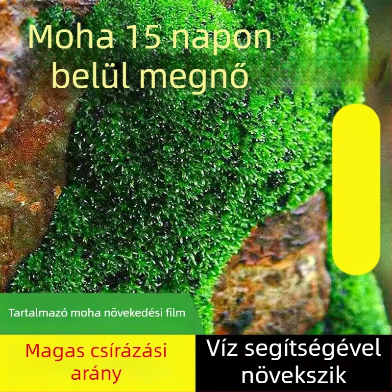 Independence Márka moha spórapor — nem importált, mikro tájakhoz és bonsaihoz