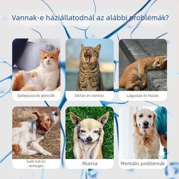 Xin Daming Állat-egészségügyi tabletták – Neurotróf tabletták idegi támogatáshoz és test erősítéséhez, macskák és kutyák számára, 50 g