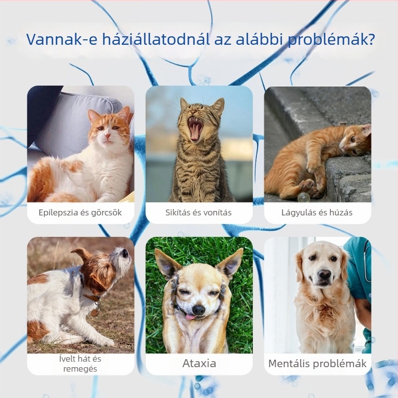 Xin Daming Állat-egészségügyi tabletták – Neurotróf tabletták idegi támogatáshoz és test erősítéséhez, macskák és kutyák számára, 50 g