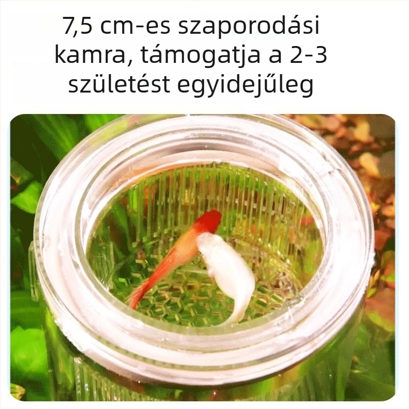 Guppy inkubátor doboz – akril, kis halak keltetése, akváriumi felszerelés, Yee márka